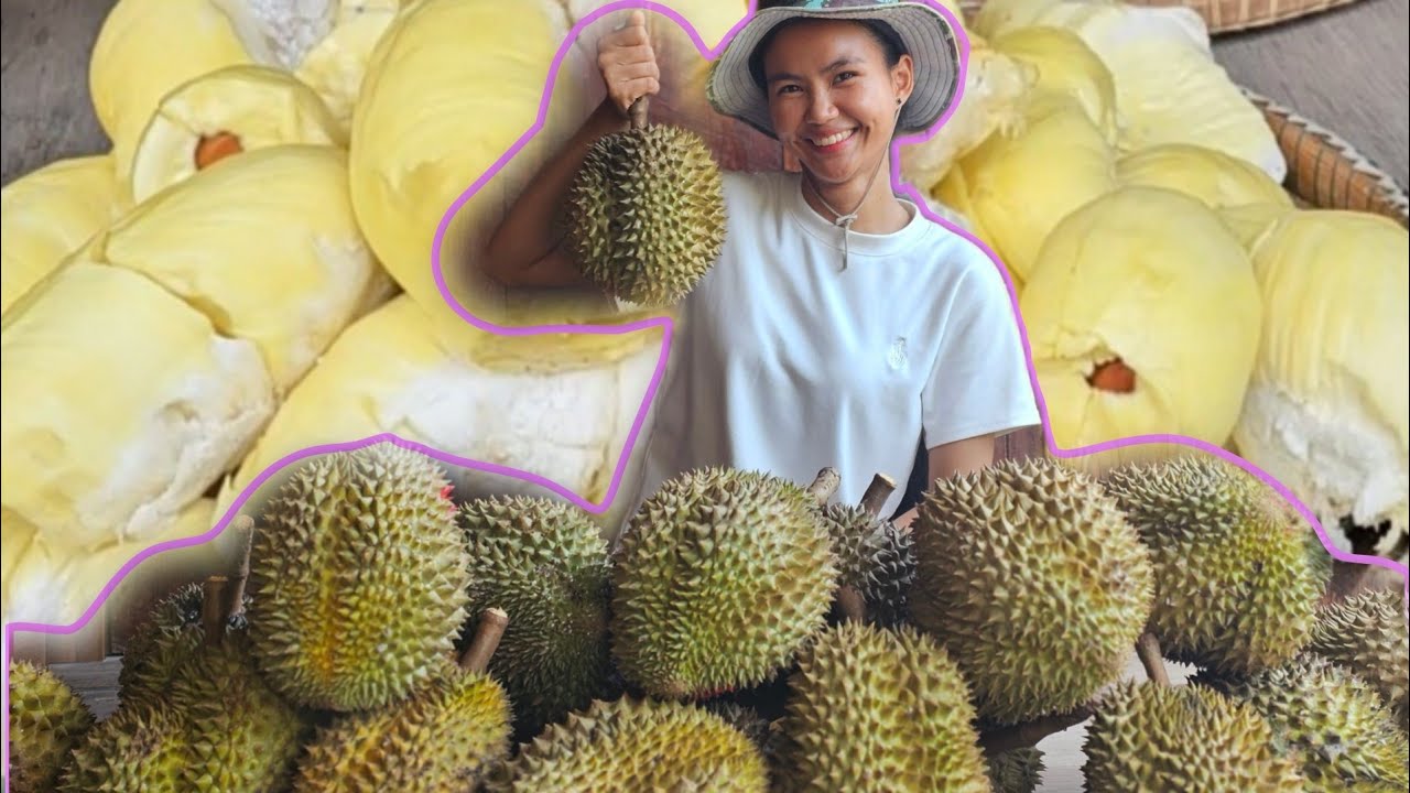 ទុរេនសម្រាប់សិស្ស