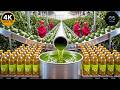 Inside a Giant Factory: How Premium Avocado Oil Is Extracted 🥑(Full Process)