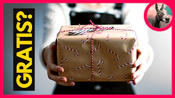 Perché è necessaria la grazia?