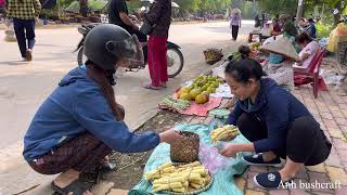 Harvest purple sugar cane, bamboo shoots and duck eggs to sell at the market EP.80