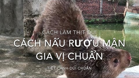 Hướng dẫn cách làm Tiết canh dúi,nấu rượu mận chuẩn vị độc quyền !