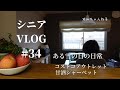 【シニアVLOG#34】ある雪の日の一コマ コストコアウトレット 甘酒シャーベット シニアライフ