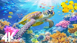 4K Stunning Underwater Wonders of the Red Sea - Colorful Coral Reef Inhabitants (4K VIDEO ULTRA HD)