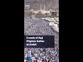 Crowds of Hajj Pilgrims Gather at Arafat