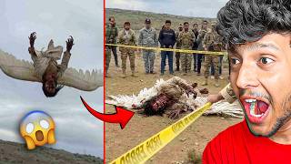 REAL Mythical Creature Caught on Camera! (Unbelievable Footage)