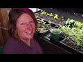 NEW Grow Room : Indoor Seed Starting : Food Security : Growing Vegetables From Seed