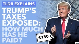 Trump's Tax Returns Explained: How Will they Impact the Election? - TLDR News