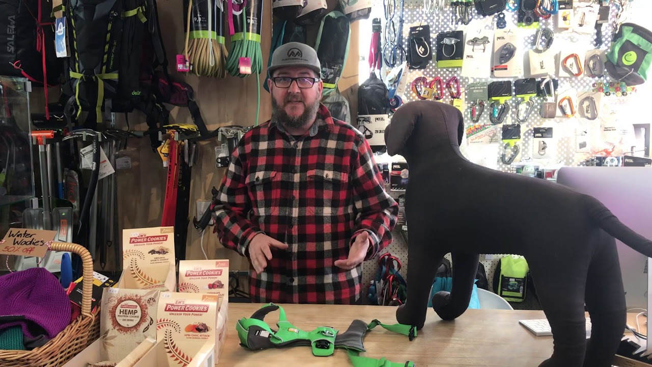 ruffwear harness fitting