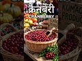 Berries that strengthen your immunity #trending #astrology #popular #ytshorts