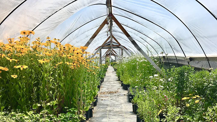 John Todd - The Ecological Design Revolution | Bio...