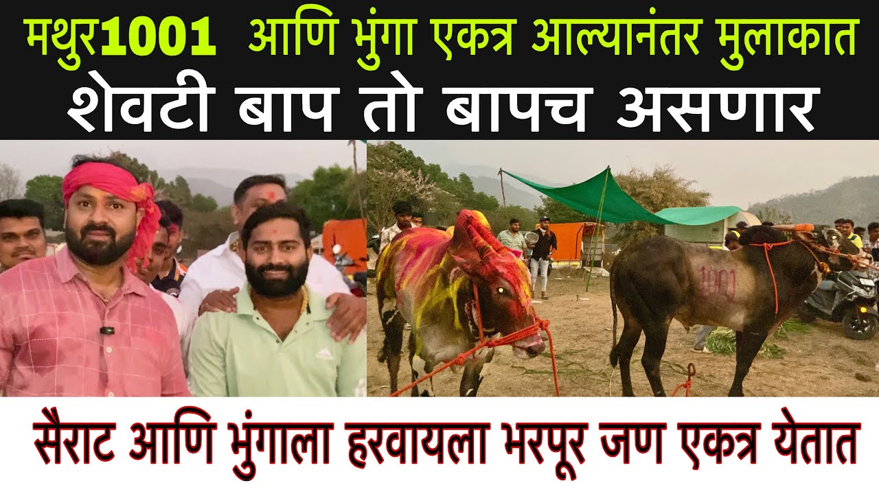 ज्यांना नाव फिरवायचा आहे त्यांनी बिनधास्त फिरवा कट कारस्थान करू नका  )शुभम दादा आणि मिलिंद शेठ यांची