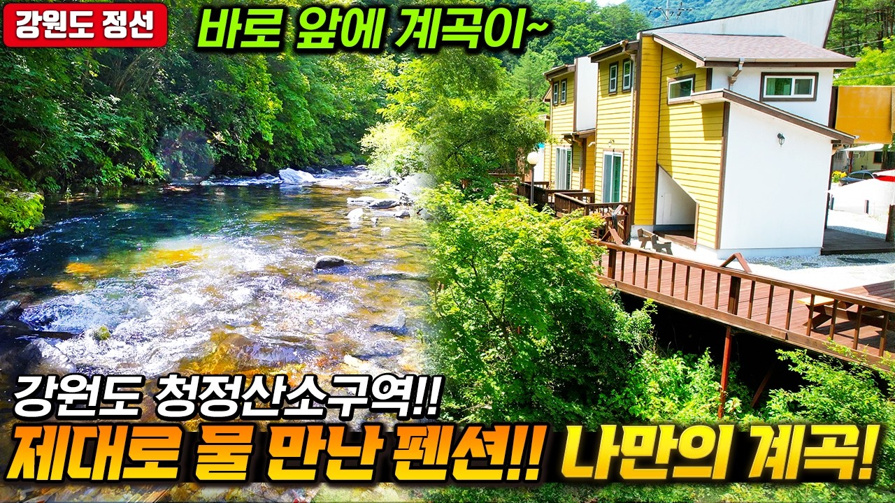 제대로 물 만난 펜션!! 오직 나만을 위한 계곡이 흐르는 곳~ 강원도 전원생활하며 숙박수익까지~ 정선 펜션매매