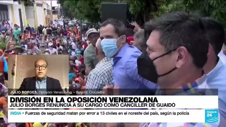 Julio Borges: "Hay que revisar a fondo la organiza...