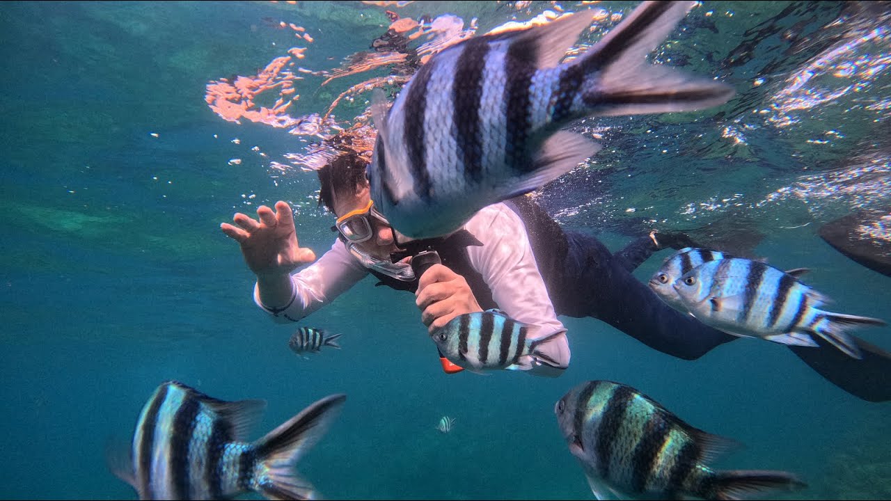 ☀☀☀2025沖繩自駕自由行9天 Day 7☀☀☀