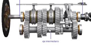 Funcionamiento de la caja de cambios manual