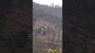 Tumne Mujhe Dekha Hokar Rafi