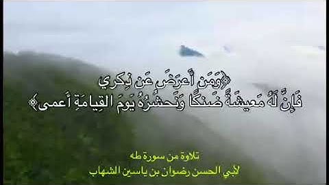 آيات من الذكر الحكيم