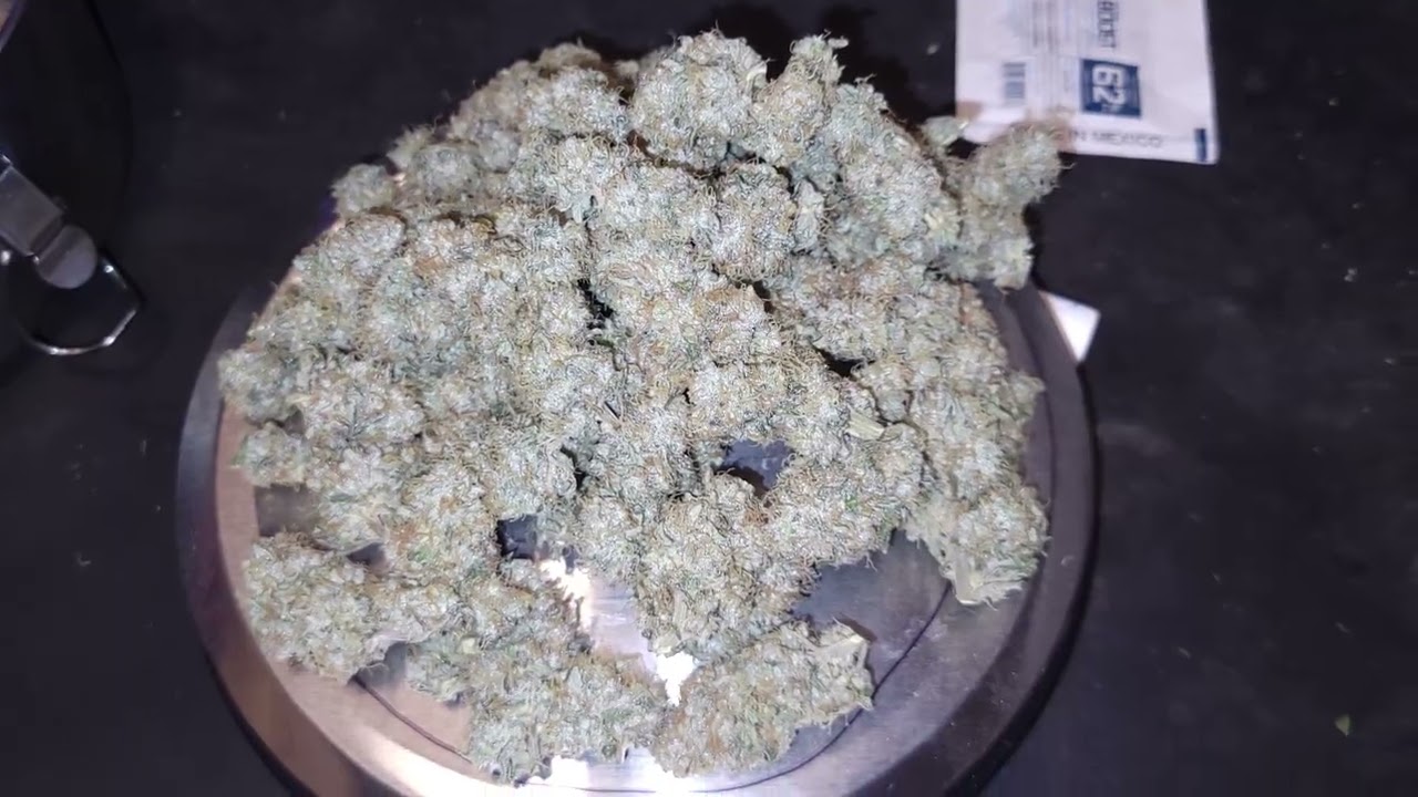 RWI Cannabis Grow Log (Episode 6) Grandpa's Cookies Harvested!