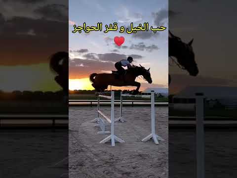 حب الخيل و قفز الحواجز