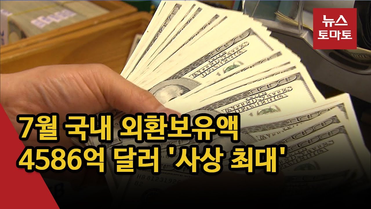 한국 외환보유고  2022 New  달러 강세도 흔들지 못한 한국 외환보유액