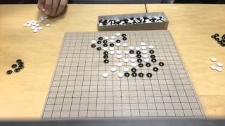 Imperialist Snake Time Lapse