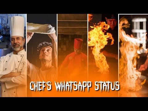 CHIEF'S WHAT'SAPP STATUS TAMIL|HOTEL MANAGEMENT WHAT'SAPP STATUS|HOTELIERS WHAT APP STATUS|MVK CUTZ