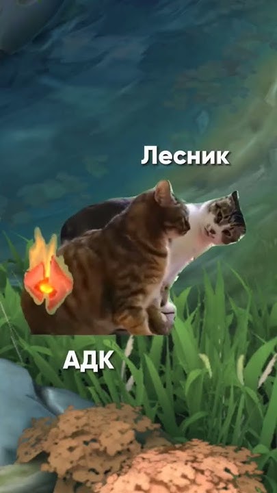 Начала учится играть в лесу 💀 #mobilelegendsvideos #mobilelegends #mlbb ...
