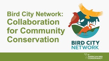 Bird City Network: Collaboration for Community Conservation