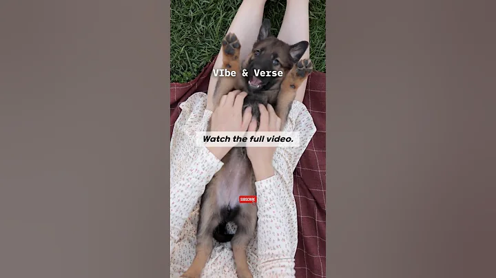 Never Argue with Fools – You’ll Just Get Dirty |  #motivation