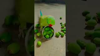mithu mithu bolny Wala tota #parrot #mithukibatain #nonstoptalkingparrot #talkingparot #jjparrot