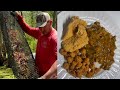 Crawfishing In The Basin W/ Kip Barras ( Catch & Cook) Part 2 Crawfish Etouffee & Fried Crawfish