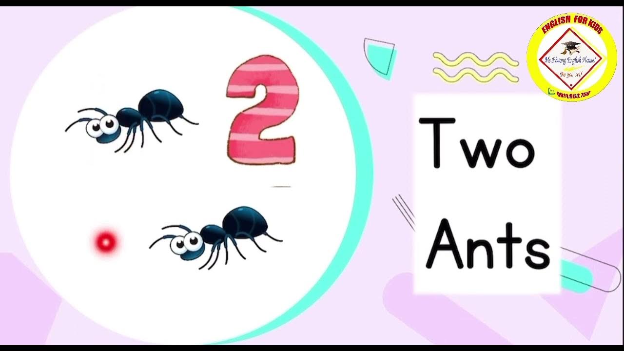 1 2 3 4 How Many Are In My Store NUMBER 1,2,3,4 (How many?) - YouTube
