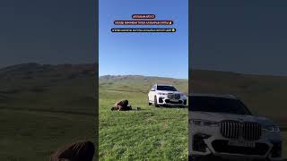 Канат Шабданбеков уулду болду #shorts