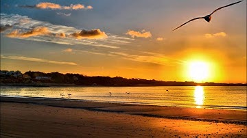 Flying to you - Vittorio Ferretti (Original mix)