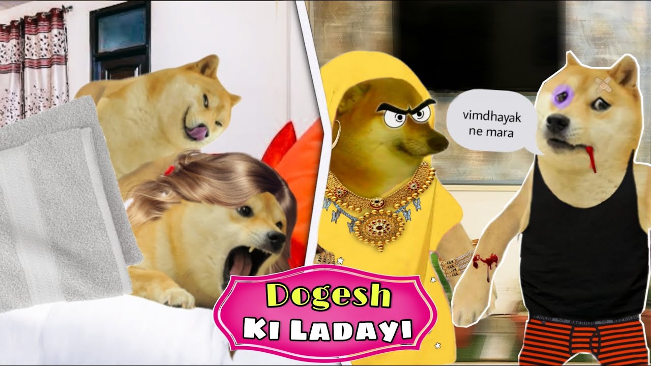 Dogesh Ki Ladayi - The Revenge !  cheems doge story video 