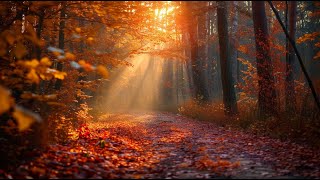 Autumn Reflections No. 3 Golden Autumn Moments/Abraham Mulder