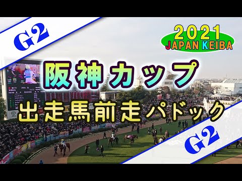 【競馬パドック】阪神カップ・前走パドック（2021年）