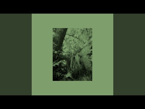 Centeio — Mother Tree