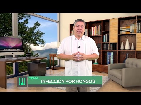 Vídeo: Remedios Efectivos Contra Los Hongos