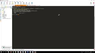 How do you check if the current host is the active and/or primary Control-M/Server host