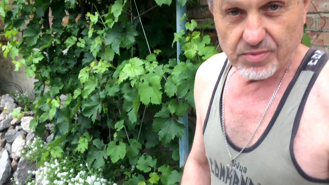 Капельный полив 12 вольт - проще простого - YouTube