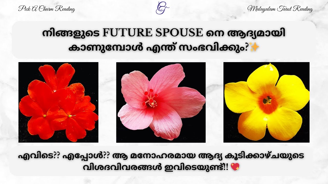 നിങ്ങളുടെ Future Spouse നെ ആദ്യമായി കാണുമ്പോൾ എന്ത് സംഭവിക്കും?✨|#futurespousetarot #malayalamtarot
