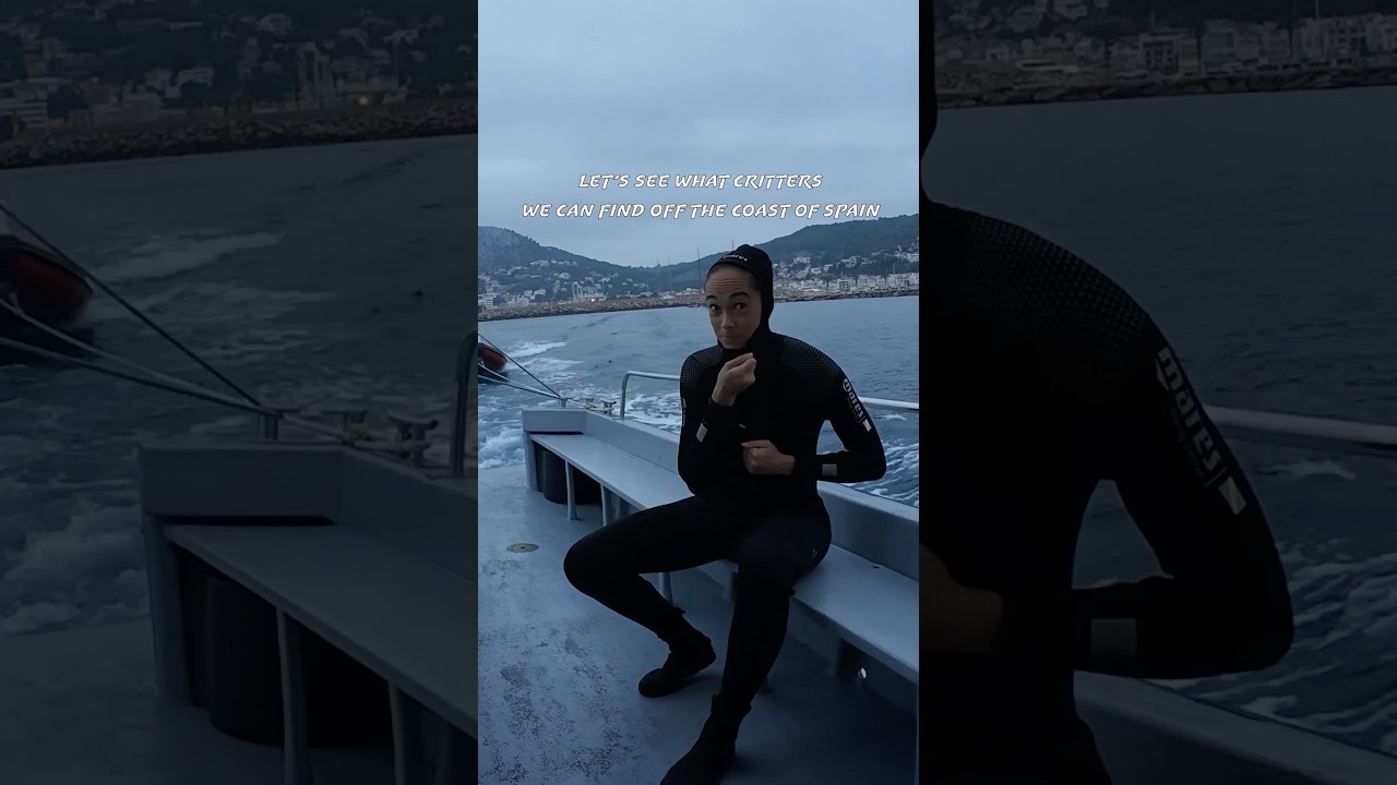 Post Champions League scuba dive off the coast of Spain with a seahorse! 🇪🇸🤿