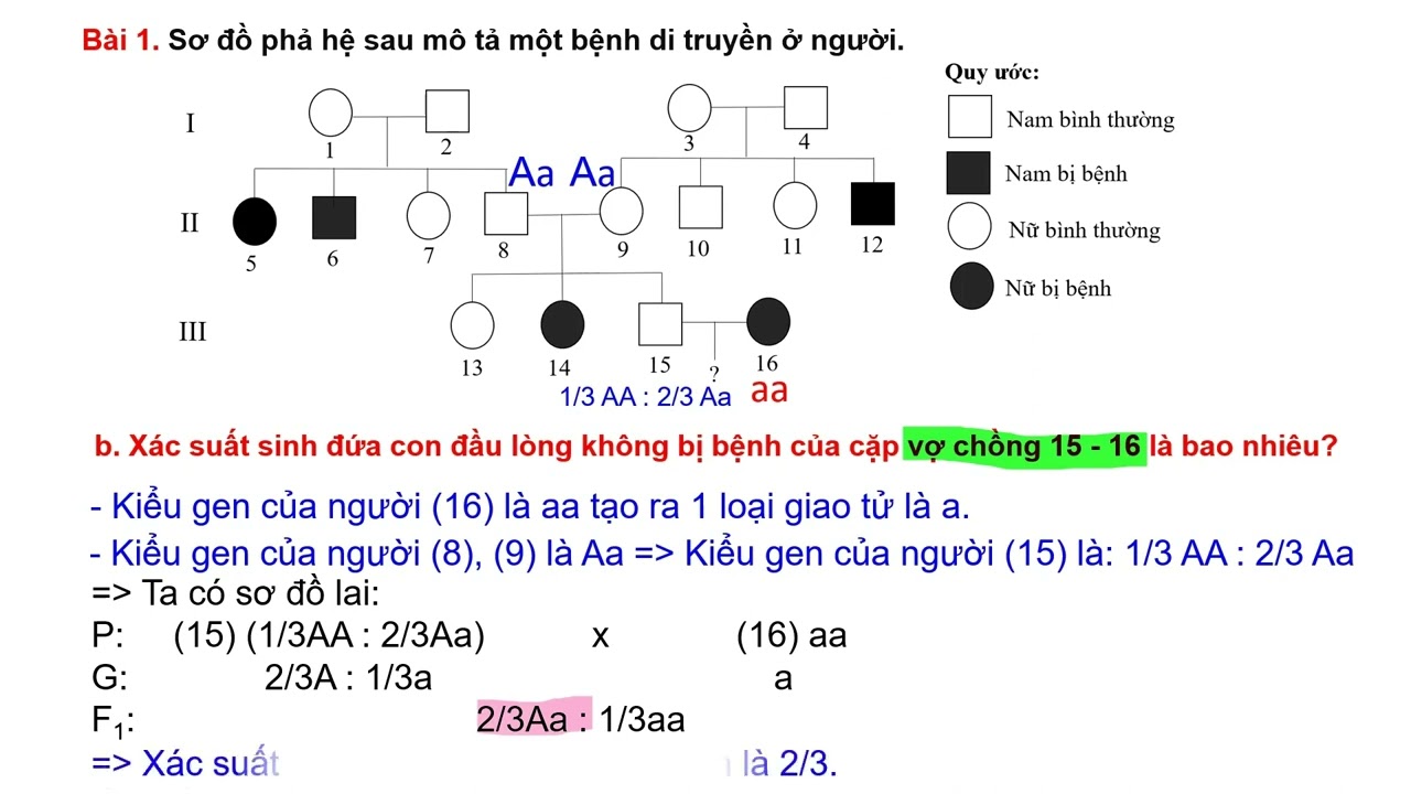 Bài tập phả hệ một bệnh (phần 2)