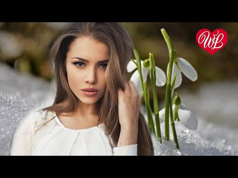 Все Позади Хиты Шансона Для Танцпола Песня Зажигалка Wlv Russian Music Hit