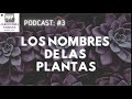 ¿Para qué te sirve saber el nombre de las plantas? | Podcast de Jardinería Urbana # 3 | Neea Flora