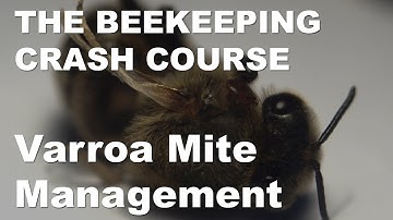 Varroa Mite Management - Honey Bee Pests, Parasites & Diseases Part 4 - Beekeeping Crash Course