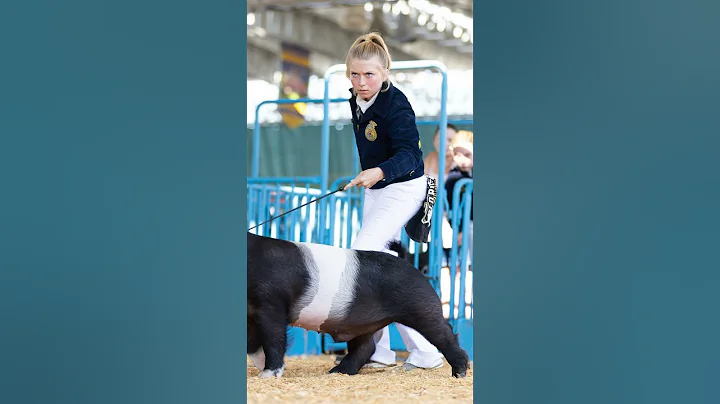 The Moment vs The Picture! Karis and Stu at State Fair in Hog Showmanship! #showpigs #livestock #ffa