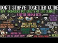 NEW Food &amp; Crockpot Changes! A Little Drama &amp; Quality Of Life Update - Don&#39;t Starve Together Guide