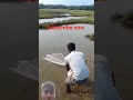 catch fish 🐟 viral video 📸#fishing #shortvideo #subscribemychannel #shortsfeed